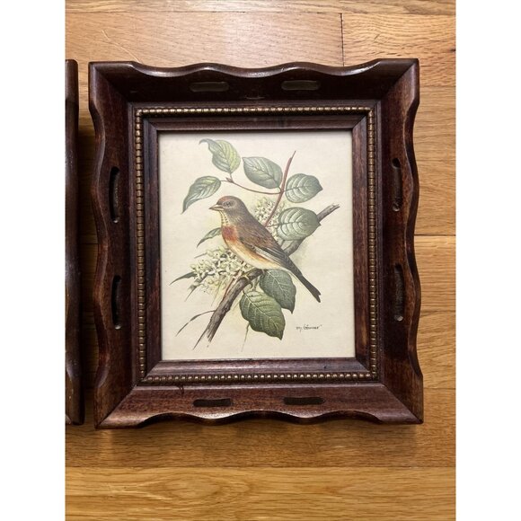 Vintage Wood/Scallop Framed Bird Ornithology Prints Ph. Gommer Bluebird/Female - Picture 3 of 9